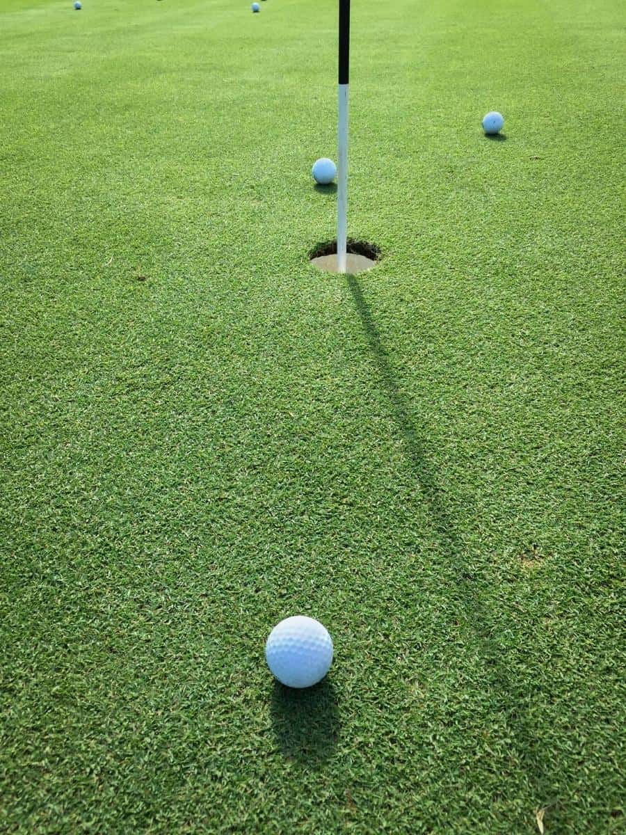 Golf Balls on the Green